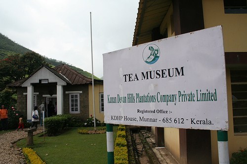 متحف الشاي